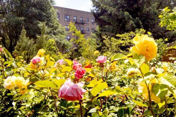 Brooklyn’s Community Board 9 rejected the plans in June, citing “significant adverse effects on portions of the community district including the Brooklyn Botanic Garden (BBG) and the Jackie Robinson Playground.”