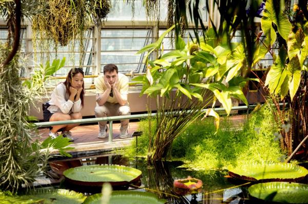 A couple looks at the aquatic plants inside a Co<em></em>nservatory that would be affected by the shadow of a high-rise building.  A developer plans to build a high-story building on Franklin Ave. that would have its shadow land on the Brooklyn Botanical Garden's nurseries, affecting the plant's growth. 