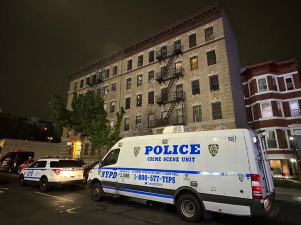 Cops on the scene of the stabbing in the Bronx on Sunday.