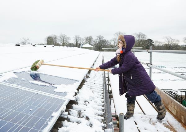 A girl sweeping snow off rooftop solar panels.