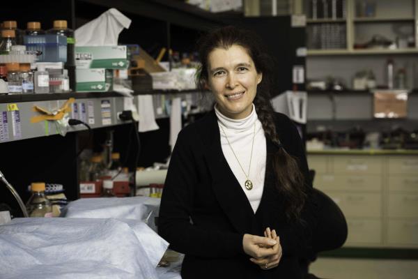 Vera Gorbunova with her hands in front of her smiles and looks at the camera for a portrait in her lab.