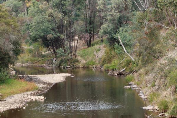 The Ovens River at Porepunkah in the Victorian High Country.